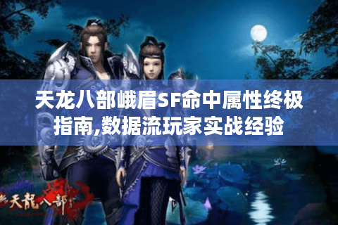 天龙八部峨眉SF命中属性终极指南,数据流玩家实战经验