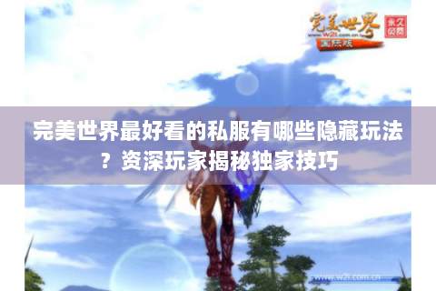 完美世界最好看的私服有哪些隐藏玩法？资深玩家揭秘独家技巧