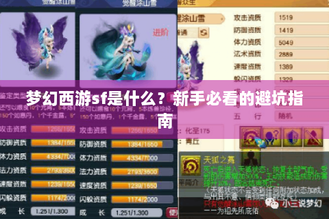 梦幻西游sf是什么？新手必看的避坑指南