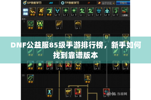 DNF公益服85级手游排行榜，新手如何找到靠谱版本