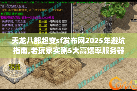 天龙八部超变sf发布网2025年避坑指南,老玩家实测5大高爆率服务器