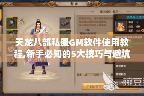 天龙八部私服GM软件使用教程,新手必知的5大技巧与避坑指南