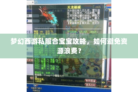 梦幻西游私服合宝宝攻略，如何避免资源浪费？