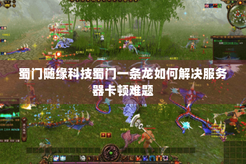 蜀门随缘科技蜀门一条龙如何解决服务器卡顿难题