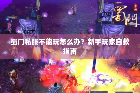 蜀门私服不能玩怎么办？新手玩家自救指南