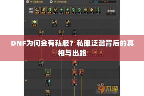 DNF为何会有私服？私服泛滥背后的真相与出路