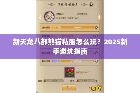 新天龙八部熊猫私服怎么玩？2025新手避坑指南