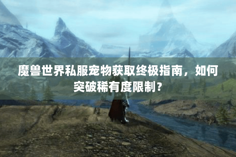 魔兽世界私服宠物获取终极指南，如何突破稀有度限制？