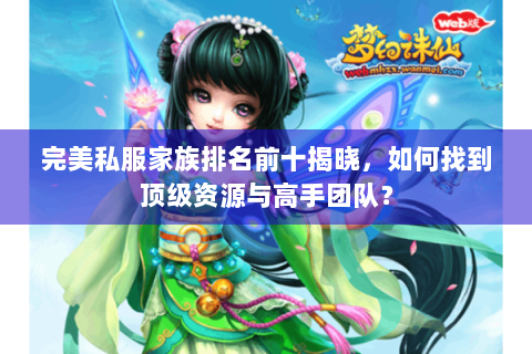 完美私服家族排名前十揭晓，如何找到顶级资源与高手团队？