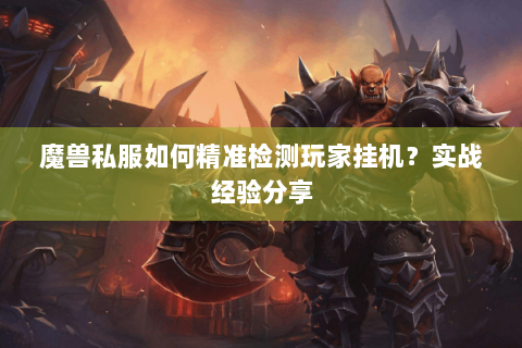 魔兽私服如何精准检测玩家挂机？实战经验分享