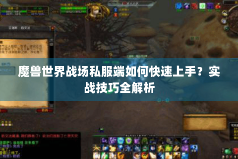 魔兽世界战场私服端如何快速上手？实战技巧全解析