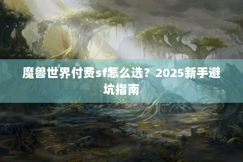 魔兽世界付费sf怎么选？2025新手避坑指南