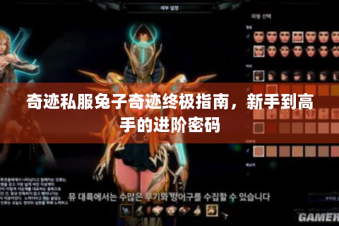 奇迹私服兔子奇迹终极指南，新手到高手的进阶密码