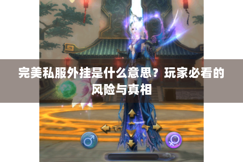 完美私服外挂是什么意思？玩家必看的风险与真相
