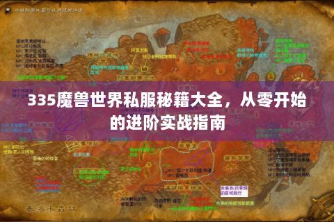 335魔兽世界私服秘籍大全，从零开始的进阶实战指南