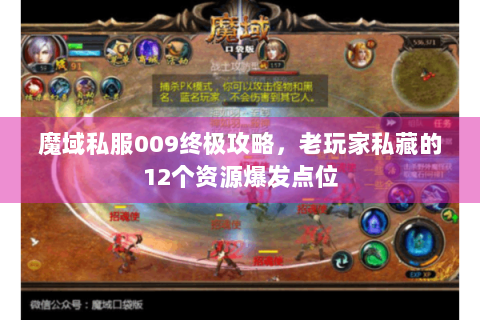 魔域私服009终极攻略，老玩家私藏的12个资源爆发点位