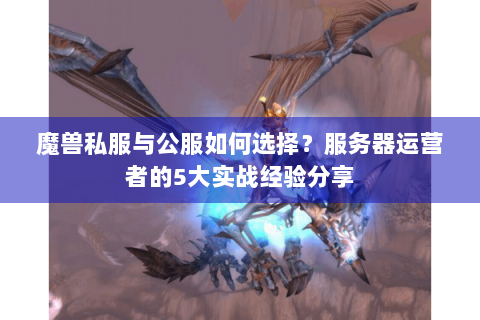魔兽私服与公服如何选择？服务器运营者的5大实战经验分享