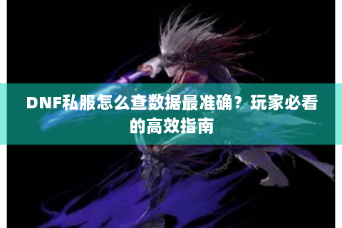 DNF私服怎么查数据最准确？玩家必看的高效指南