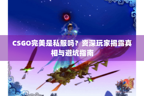 CSGO完美是私服吗？资深玩家揭露真相与避坑指南