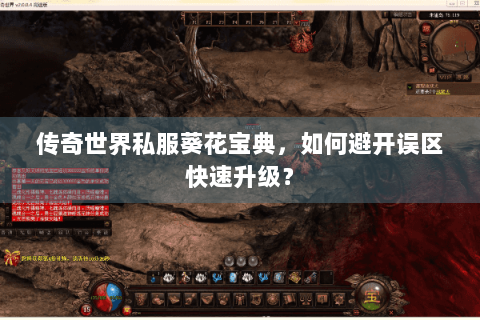传奇世界私服葵花宝典，如何避开误区快速升级？