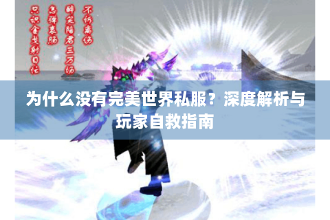 为什么没有完美世界私服？深度解析与玩家自救指南