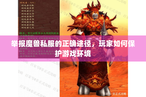 举报魔兽私服的正确途径，玩家如何保护游戏环境