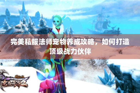 完美私服法师宠物养成攻略，如何打造顶级战力伙伴