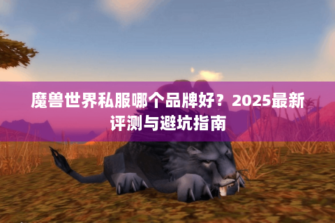 魔兽世界私服哪个品牌好？2025最新评测与避坑指南