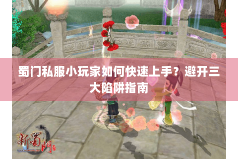 蜀门私服小玩家如何快速上手？避开三大陷阱指南