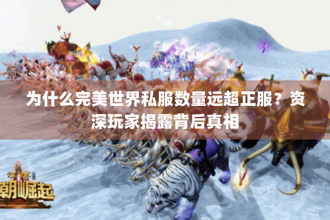 为什么完美世界私服数量远超正服？资深玩家揭露背后真相