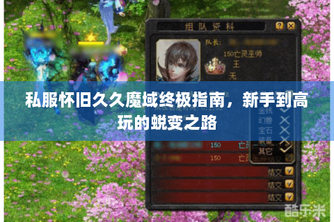 私服怀旧久久魔域终极指南，新手到高玩的蜕变之路