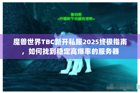 魔兽世界TBC新开私服2025终极指南，如何找到稳定高爆率的服务器