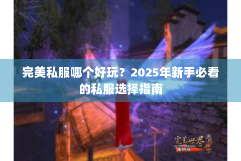完美私服哪个好玩？2025年新手必看的私服选择指南