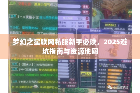 梦幻之星联网私服新手必读，2025避坑指南与资源地图