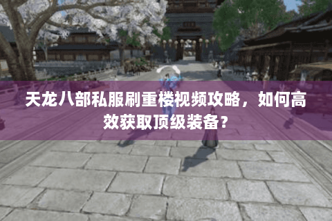 天龙八部私服刷重楼视频攻略，如何高效获取顶级装备？