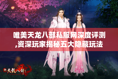唯美天龙八部私服网深度评测,资深玩家揭秘五大隐藏玩法