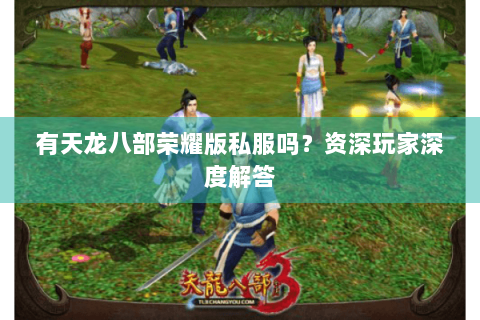 有天龙八部荣耀版私服吗？资深玩家深度解答