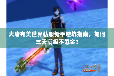 大唐完美世界私服新手避坑指南，如何三天满级不氪金？