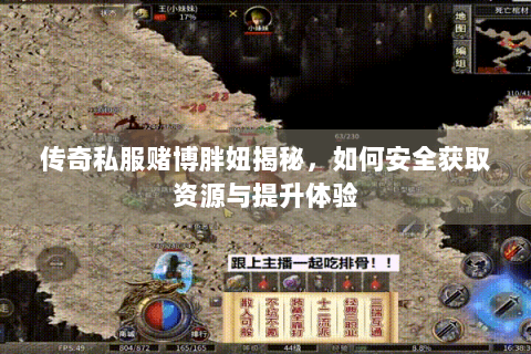传奇私服赌博胖妞揭秘，如何安全获取资源与提升体验