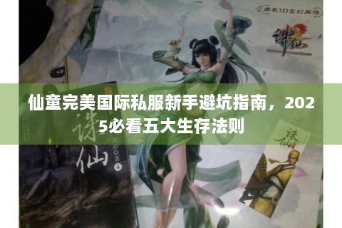 仙童完美国际私服新手避坑指南，2025必看五大生存法则