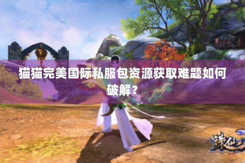 猫猫完美国际私服包资源获取难题如何破解？