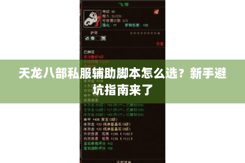 天龙八部私服辅助脚本怎么选？新手避坑指南来了