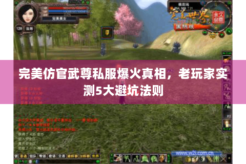 完美仿官武尊私服爆火真相，老玩家实测5大避坑法则