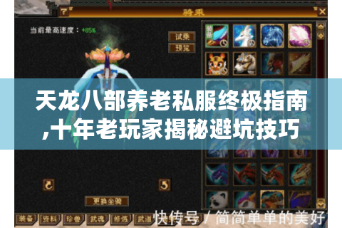天龙八部养老私服终极指南,十年老玩家揭秘避坑技巧与资源宝库