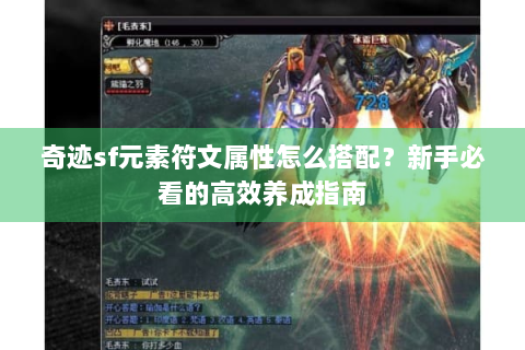 奇迹sf元素符文属性怎么搭配？新手必看的高效养成指南