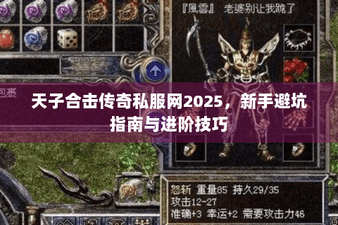 天子合击传奇私服网2025，新手避坑指南与进阶技巧