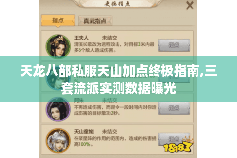 天龙八部私服天山加点终极指南,三套流派实测数据曝光