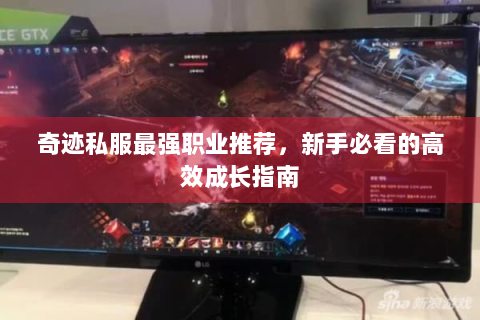 奇迹私服最强职业推荐，新手必看的高效成长指南