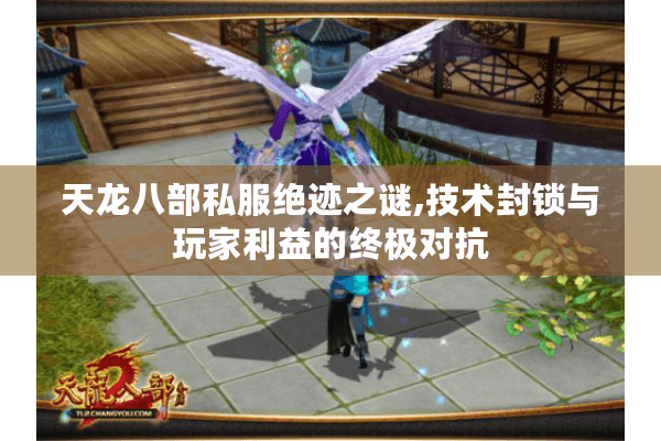 天龙八部私服绝迹之谜,技术封锁与玩家利益的终极对抗