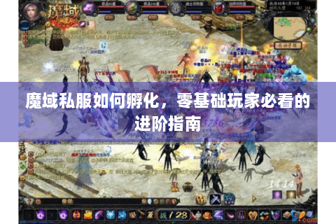 魔域私服如何孵化，零基础玩家必看的进阶指南